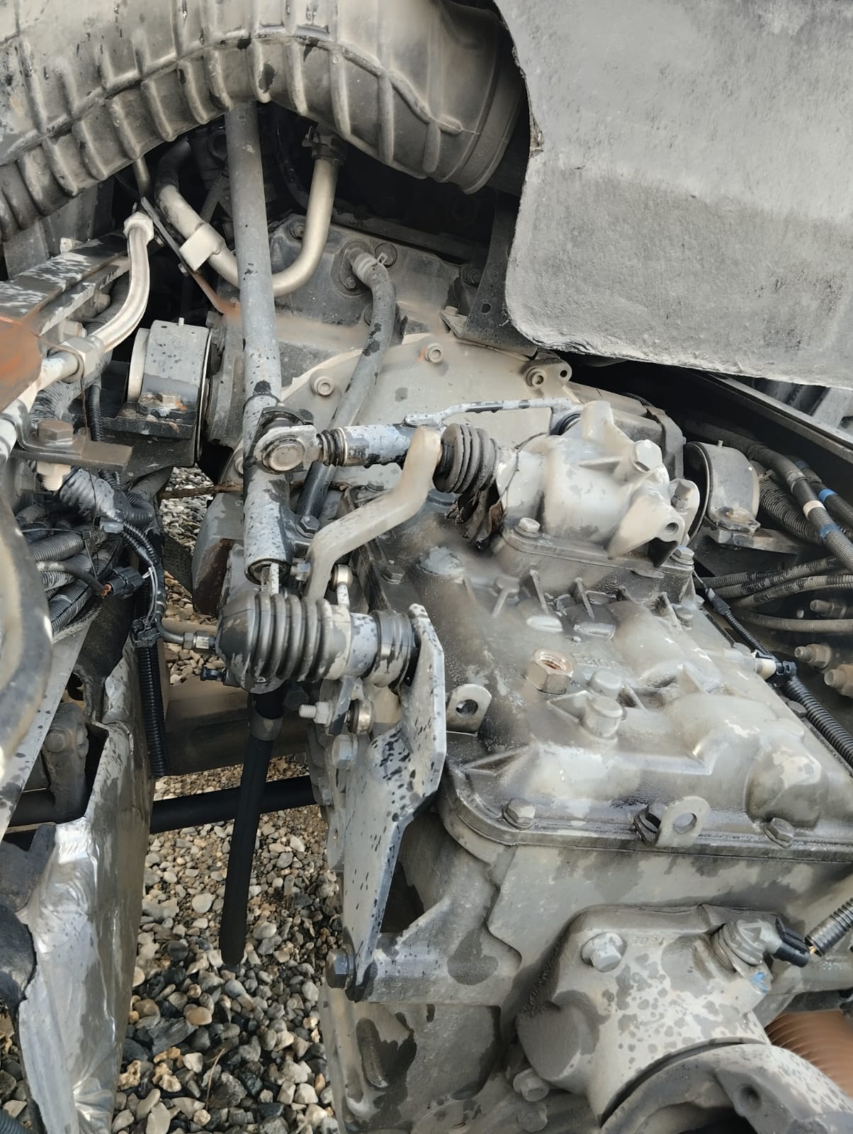 VOLKSWAGEN 24.25 2024 #HATA.4- - Imagen 6