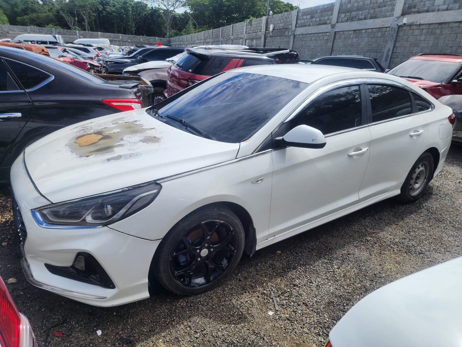 HYUNDAI SONATA NEW RISE 2018 #OIT.8-1943 - Imagen 6